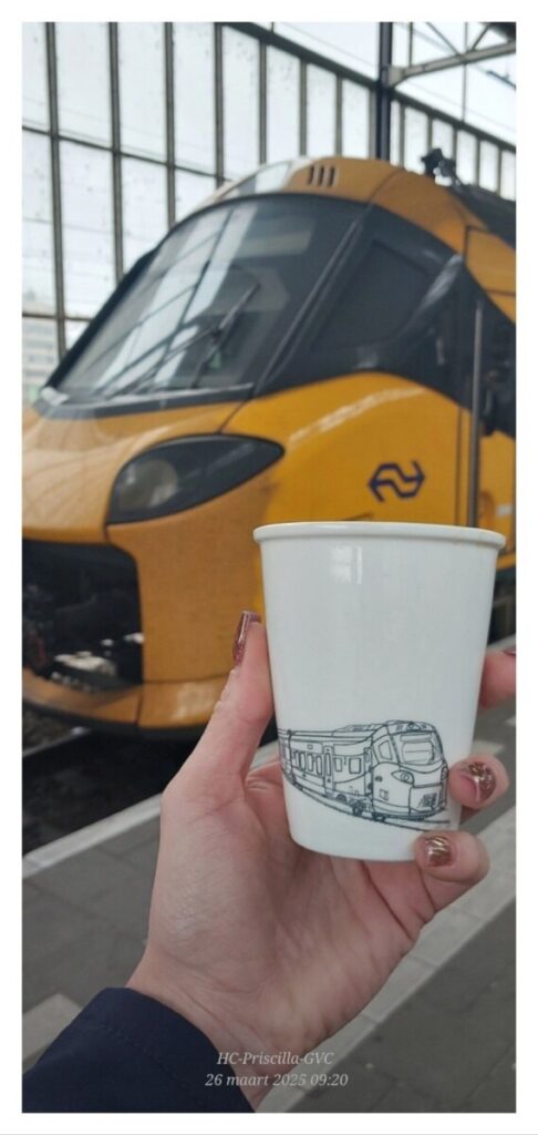 processed with rookie cam